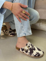 CHAMPION80